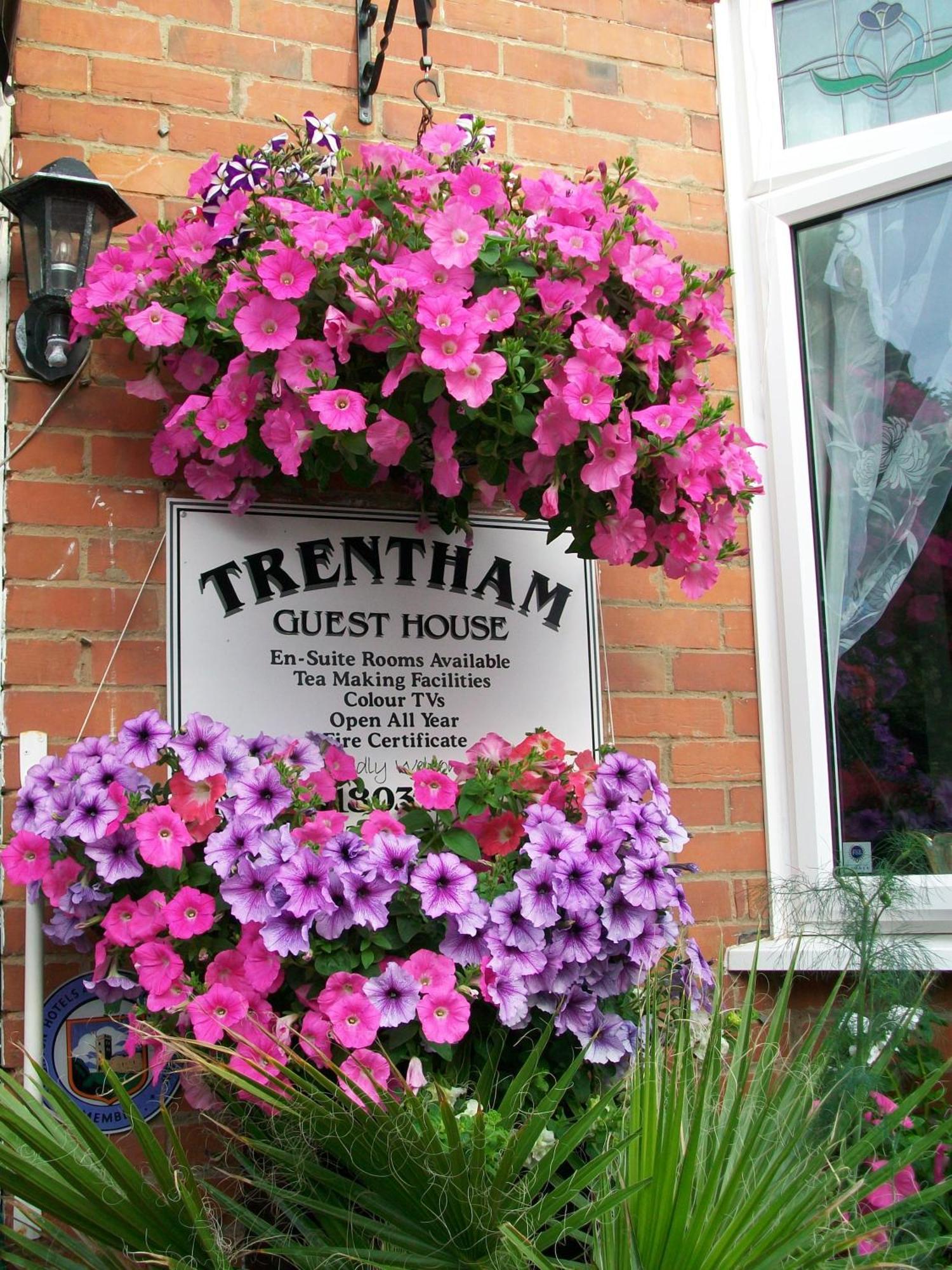 Trentham House Bed & Breakfast Paignton Eksteriør bilde